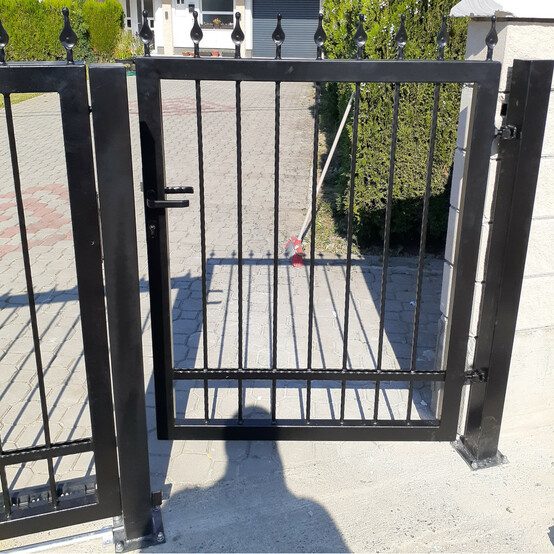 kovana kapija mala.resized